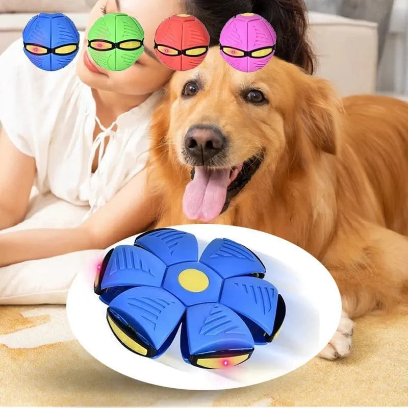 Pet Toy Flying Disc Ball