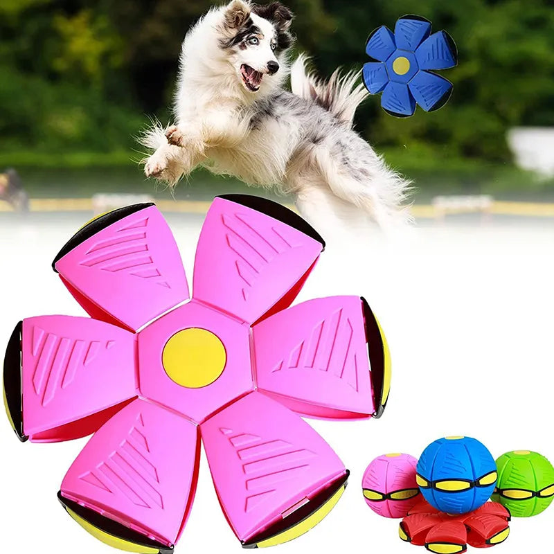 Pet Toy Flying Disc Ball